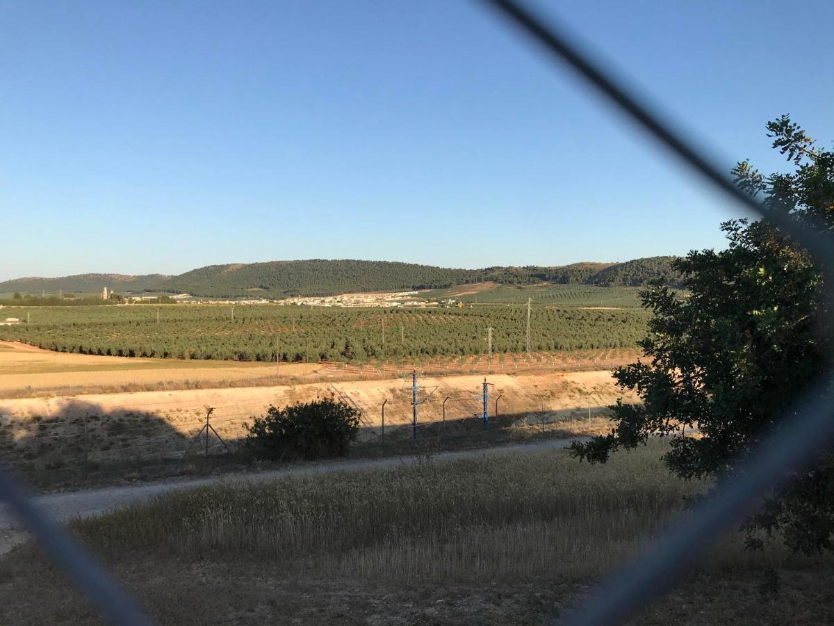 Вилла Cortijo Vista Alegre Фуэнте-де-Пьедра Экстерьер фото